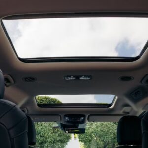 Looking for Kia CARNIVAL car hire or luxury car hire Sydney?